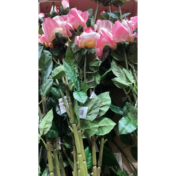 LONG STEM HIGH QUALITY ROSES RED
